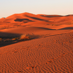 Desierto Sahara
