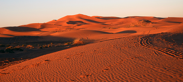 Desierto Sahara