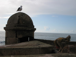 Ciudadela de Essaouira. Ciudadela de Essaouira.