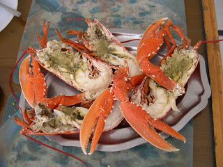 Moulay Bousselham. Bogavantes.